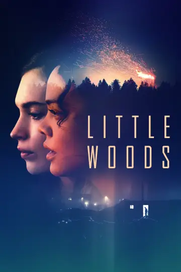 Poster to the movie "Little Woods" #1867836