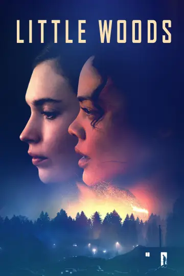 Poster to the movie "Little Woods" #1867837