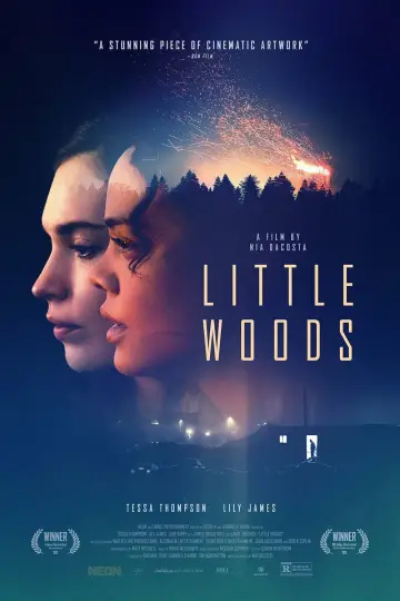 Poster to the movie "Little Woods" #1867839