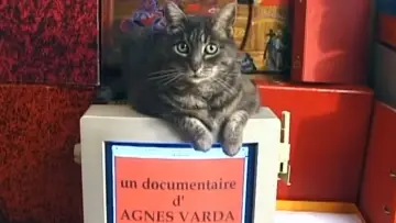 Tribute to Zgougou the Cat Poster