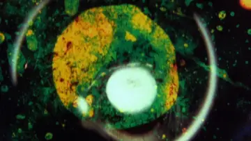 Backdrop to the movie "By Brakhage: An Anthology, Volume One" #1784515