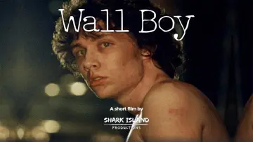 Backdrop to the movie "Wall Boy" #682346