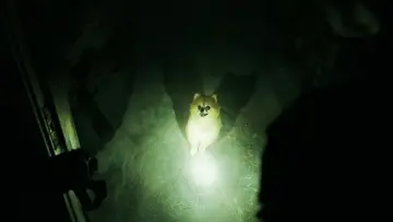 Backdrop to the movie "It Chapter Two" #574609
