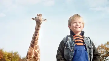 Backdrop to the movie "My Giraffe" #1930947