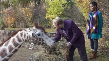 Backdrop to the movie "My Giraffe" #1930948