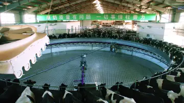 Backdrop to the movie "The Milk System" #1615822