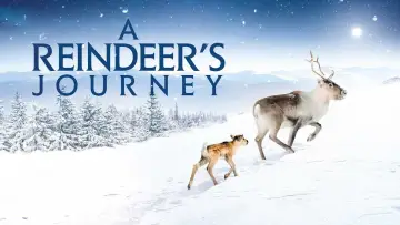 Backdrop to the movie "A Reindeer