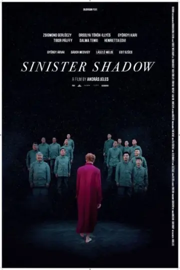 Poster to the movie "Sinister Shadow" #1174538