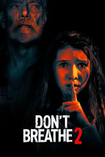 Poster to the movie "Don