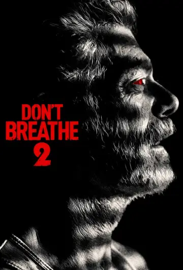 Poster to the movie "Don