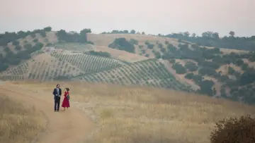 Backdrop to the movie "Destination Wedding" #344923