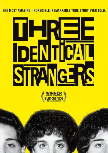 Poster to the movie "Three Identical Strangers" #1068494