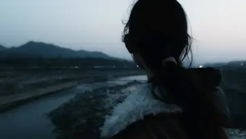Backdrop to the movie "An Elephant Sitting Still" #1083707