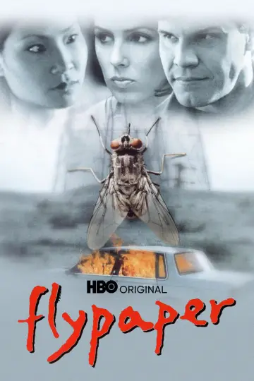 Poster to the movie "Flypaper" #1123966