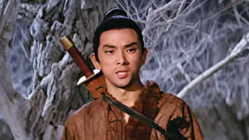 Backdrop to the movie "The One-Armed Swordsman" #904191