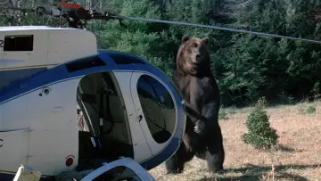Backdrop to the movie "Grizzly" #418032