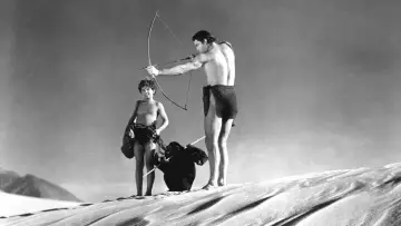 Backdrop to the movie "Tarzan
