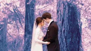 Backdrop to the movie "The Twilight Saga: Breaking Dawn - Part 1" #170982