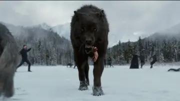 Backdrop to the movie "The Twilight Saga: Breaking Dawn - Part 2" #1625622