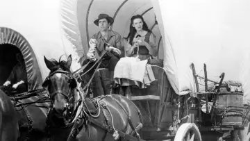 Backdrop to the movie "Brigham Young" #691677