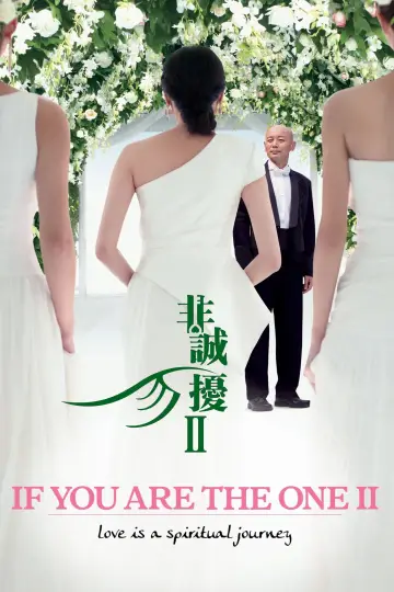 Poster to the movie "If You Are the One 2" #1017172