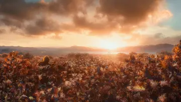 Backdrop to the movie "The Hobbit: The Desolation of Smaug" #584499