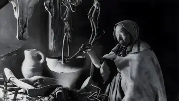 Backdrop to the movie "Häxan" #384011