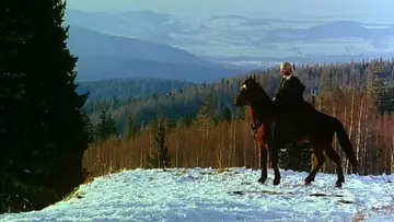 Backdrop to the movie "The Hexer" #494899