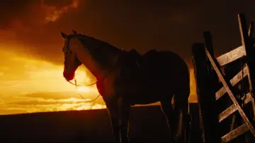 Backdrop to the movie "War Horse" #719025