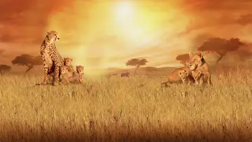 Backdrop to the movie "African Cats" #1089403