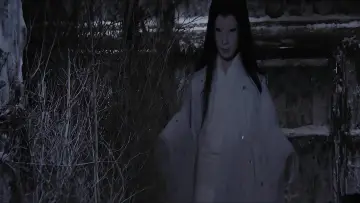 Backdrop to the movie "The Snow Woman" #1889941