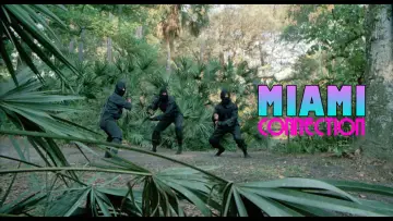 Backdrop to the movie "Miami Connection" #540498