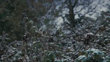 Backdrop to the movie "Wake Wood" #1637419