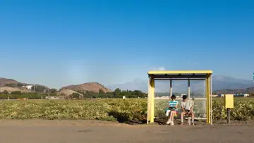 Backdrop to the movie "Aristotle and Dante Discover the Secrets of the Universe" #322188