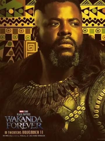 Poster to the movie "Black Panther: Wakanda Forever" #4382
