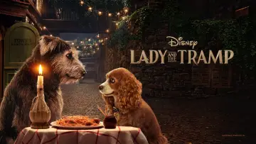 Backdrop to the movie "Lady and the Tramp" #75018