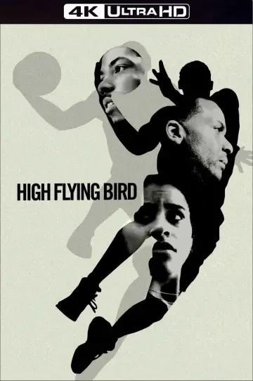 High Flying Bird