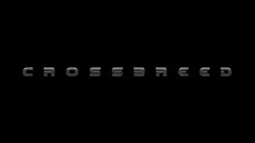 Backdrop to the movie "Crossbreed" #743931
