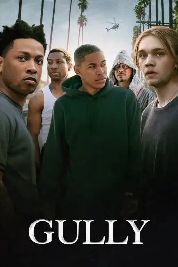 Poster to the movie "Gully" #361977