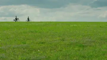 Backdrop to the movie "Jojo Rabbit" #1216243