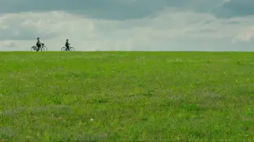 Backdrop to the movie "Jojo Rabbit" #625522