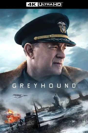 Greyhound