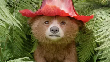 Backdrop to the movie "Paddington in Peru" #567547