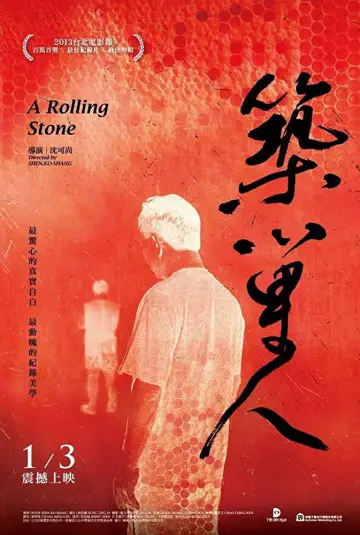 Poster to the movie "A Rolling Stone" #1181271