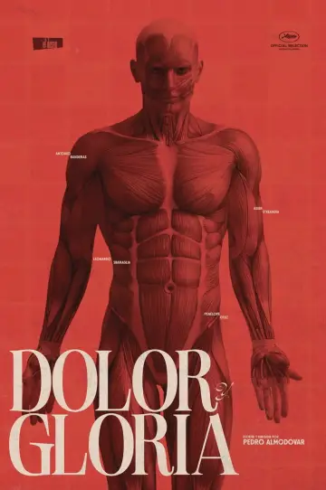 Poster to the movie "Pain and Glory" #1866419