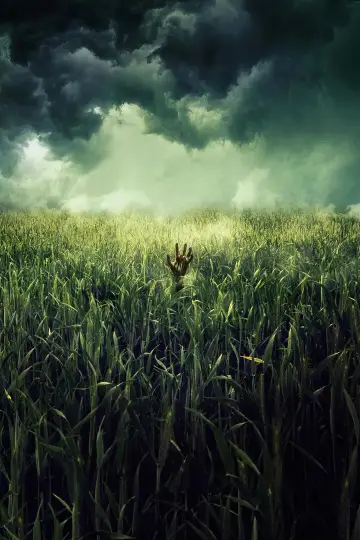 Poster to the movie "In the Tall Grass" #966050