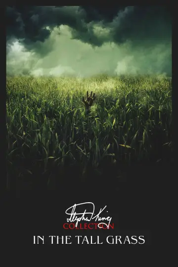 In the Tall Grass