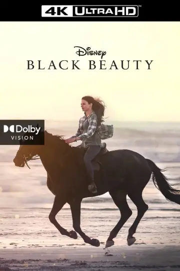 Poster to the movie "Black Beauty" #179869