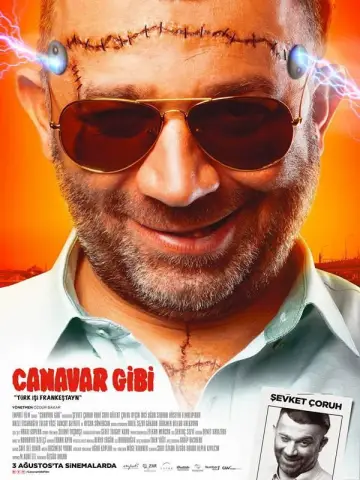 Poster to the movie "Canavar Gibi" #1200899