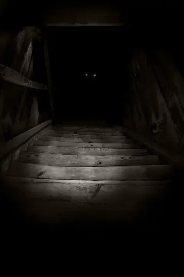Poster to the movie "The Boogeyman" #282612